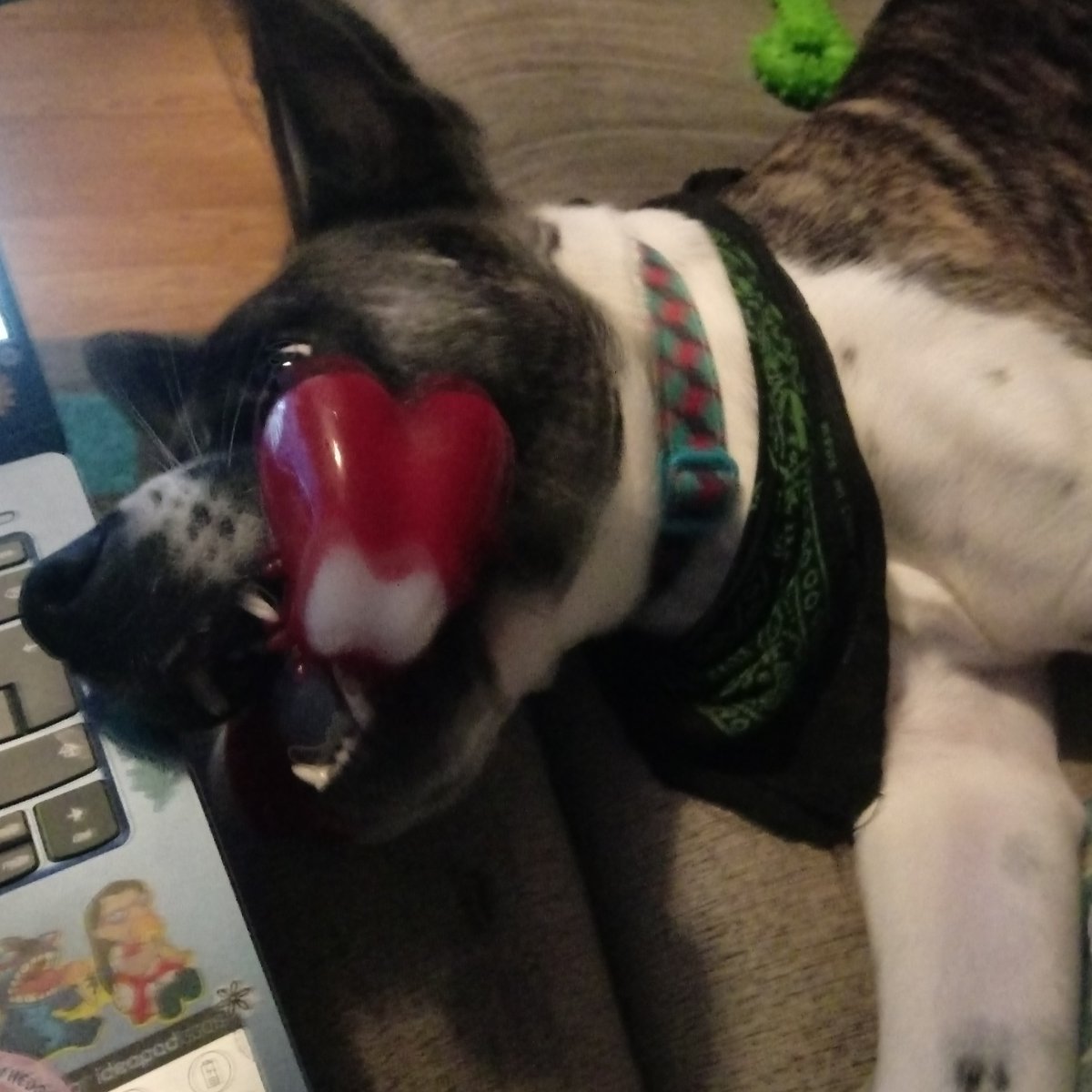 Ah the perils of home working