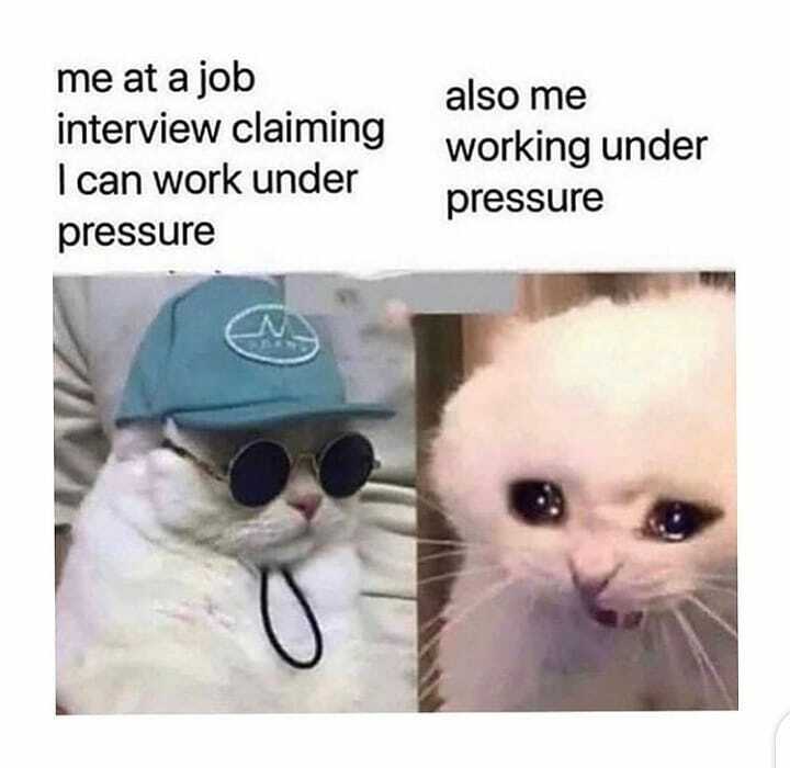 thesteernetwork's tweet photo. Who can relate?🙋😁
How is your weekend going?

helloweekend #thankGoditsfriday #fridayfeeling #friyay #goodvibes #goodfeeling #TGIF https://t.co/Fn2xqgyOA2