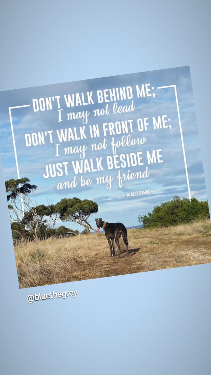 EAlexande's tweet photo. #Quotes #quoteoftheday #WalkBesideMe #TrueFriendship https://t.co/yNZTzXjz03