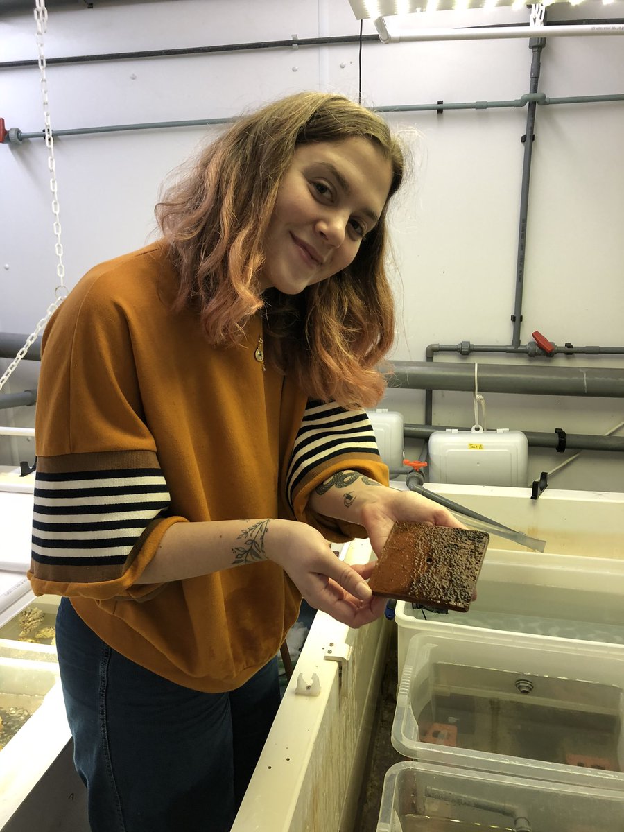 LarisaLewis's tweet photo. probably the busiest week my whole year but what a great start to my PhD!! Shoutout to the BEECH team for all your help &amp; wonderfulness https://t.co/3R1zIgN668
