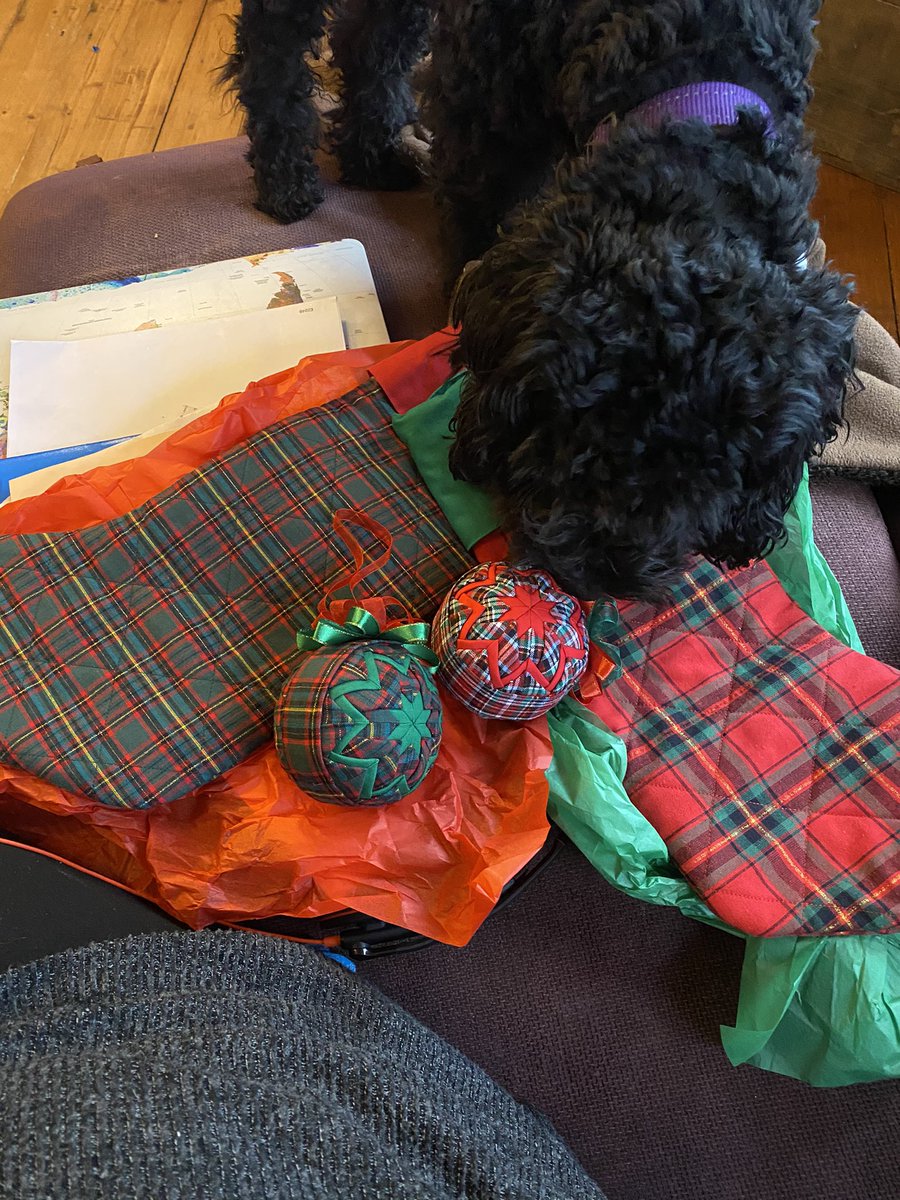 Di Airey (she/her) tweet media