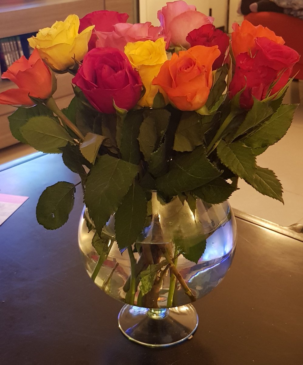 Cnudde isabelle (@CNUDDEISA59490) | Twitter