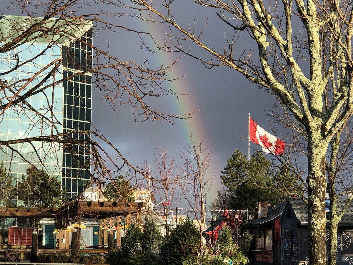 Well, it’s been quite a year and Nova Scotia has experienced more than its fair share of sadness, loss, and grief. So, we challenged our team to look back over our work in 2020 and find a few bright spots.  #yearinreview  #developnovascotia