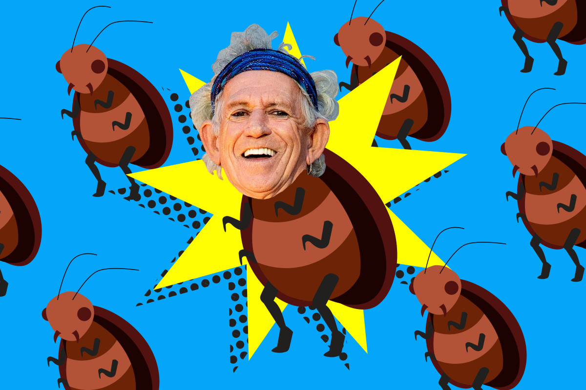 Keith Richards gets cockroach named after him for 77th birthday