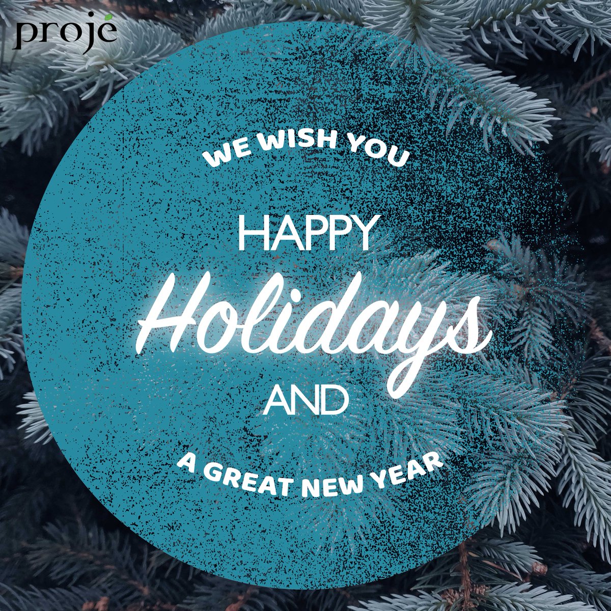 projeinc's tweet photo. ❄️ We want to personally wish you and your family the happiest of holidays! https://t.co/4zJEG2Ao7f