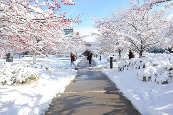 SVSU will be closed Monday, 12/21/2020 through Friday, 1/1/2021 for the holiday season. We hope you enjoy your holiday break and we look forward to hearing from you in the new year! Our office will reopen on Monday, 1/4/2021 at 8:00 am.