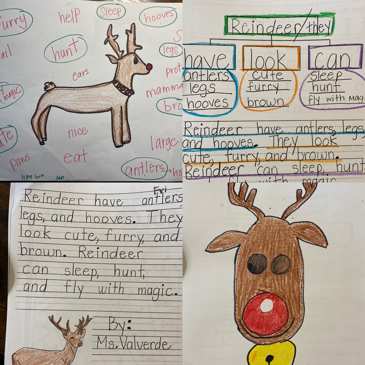 AimeeH20s's tweet photo. A week of writing as a 1st grader!
Reindeer Writing & Rudolph Directed Draw π¦π Learning to write even through distance learning π₯ and rocking it! π #treemap #writefromthebeginning #WFTB #SandriniSaints #pbv #firsties #mooseltoe #readaloud https://t.co/iNnkboQNNL