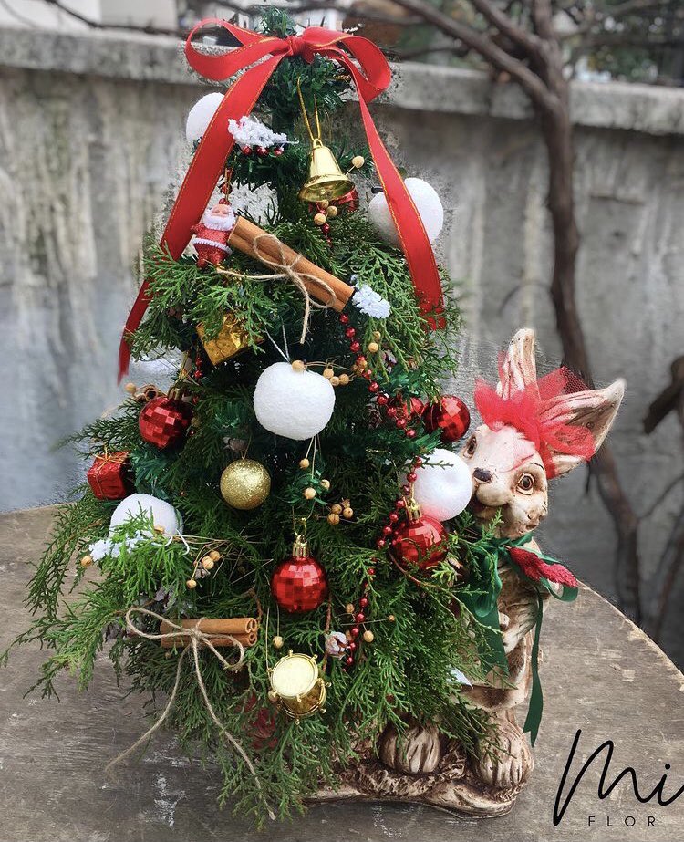 miflortr's tweet photo. YENİ YIL RUHU Mİ FLOR’DA #Christmas https://t.co/iocuGH1DPD