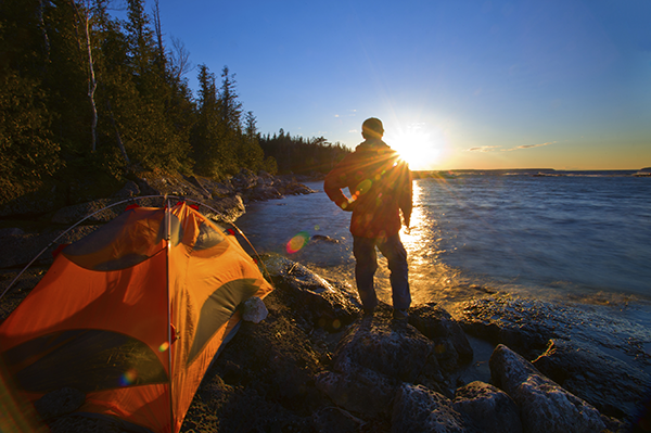 NTO Training tweet media