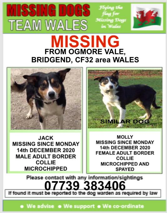 #JACK & #MOLLY missing 14/12/202 #OGMOREVALE #BRIDGEND #CF32 area #WALES @CarolPoyerPeett @ruthwill64 @LostDogAlertUK @Lost_Dogs @juliagarland73 @BridgendPC