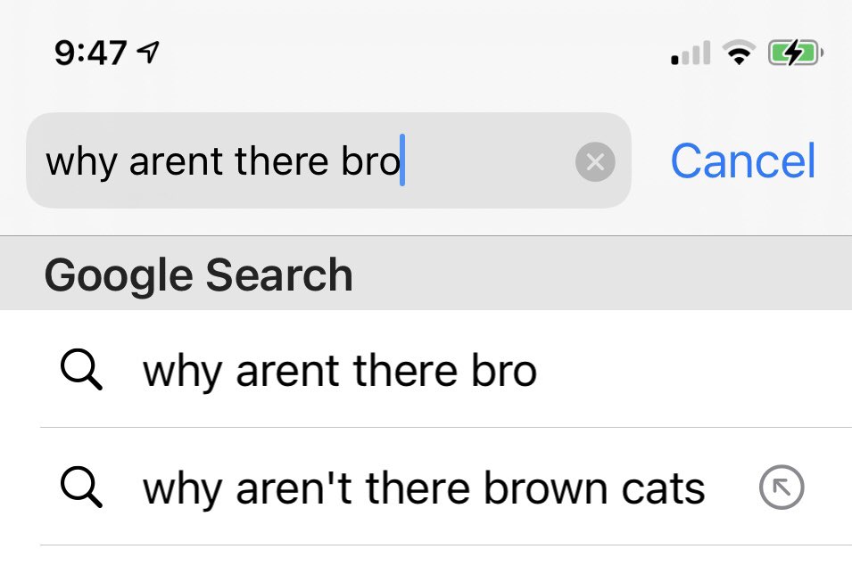 TheBloggess's tweet image. I love when I ask Google a dumb question and even before I finish typing it’s like, “YEAH, WHERE THE FUCK *ARE* ALL THE BROWN CATS?”