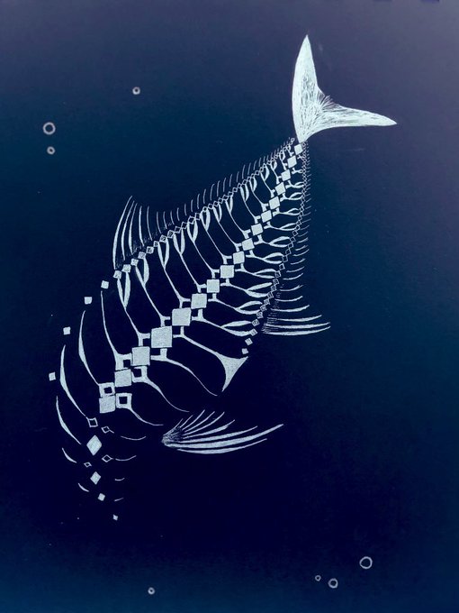 コンプリート かっこいい 魚 骨 イラスト 21年の新しい壁紙画像 コンプリート かっこいい 魚 骨 イラスト 21年の新しい壁紙画像