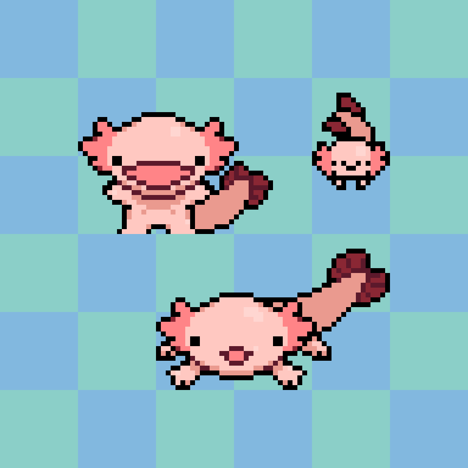 benji__t's tweet photo. made some quick sketches for an axolotl character (a fan suggestion!), still deciding whether to give him a stubby body or have him float around!

#pixelart #aseprite https://t.co/wkr6yaIEme