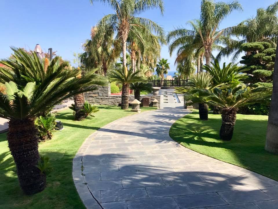 naturpiedra tweet media