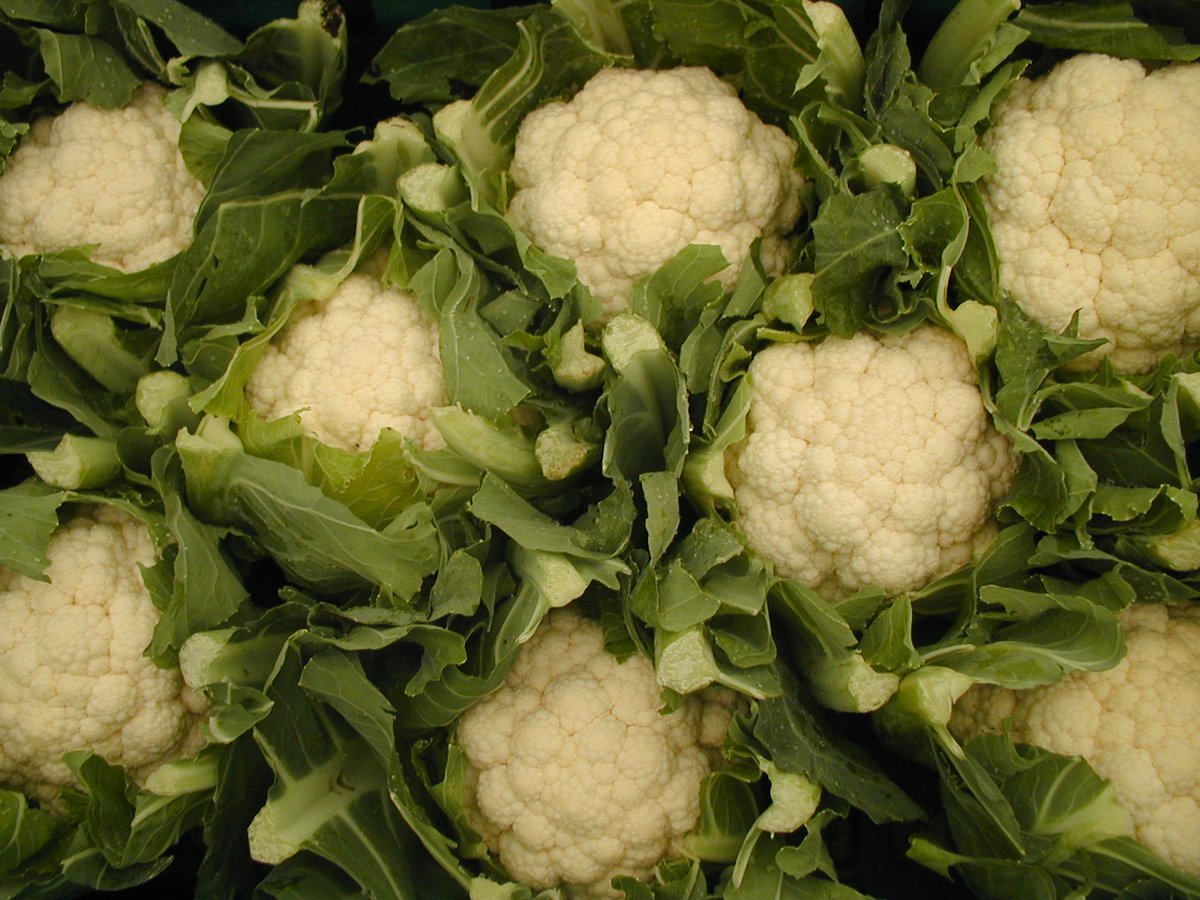 Thanks for following our journey this week from field to finished product. With Christmas on the horizon do not hesitate to try new recipes with fresh vegetables – there is plenty of inspiration on <a href="/vegpower/">Powered By Veggies</a>! Have a look out for a few of Riviera's recipes online!@Riviera_Produce