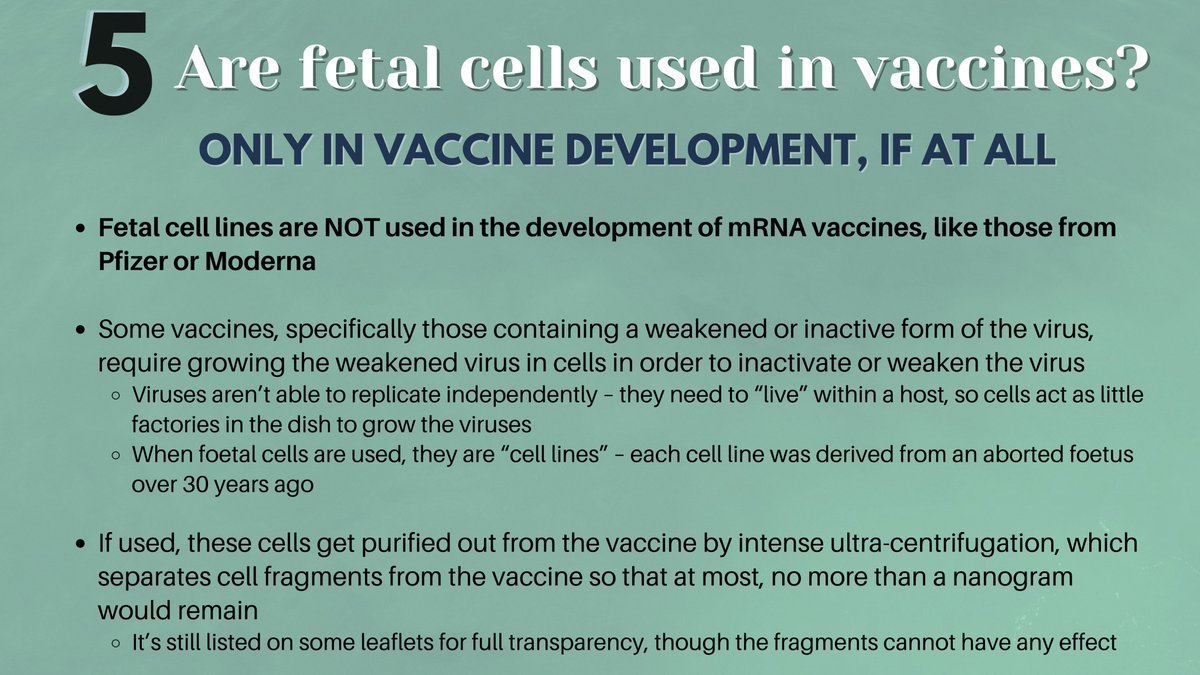 Fetal cell lines are NOT used in the development of mRNA vaccines, like the mRNA vaccines made by Pfizer or Moderna.When fetal cell lines are used, it's only during the development process and they're purified out such that no more than a nanogram of fragments would remain.