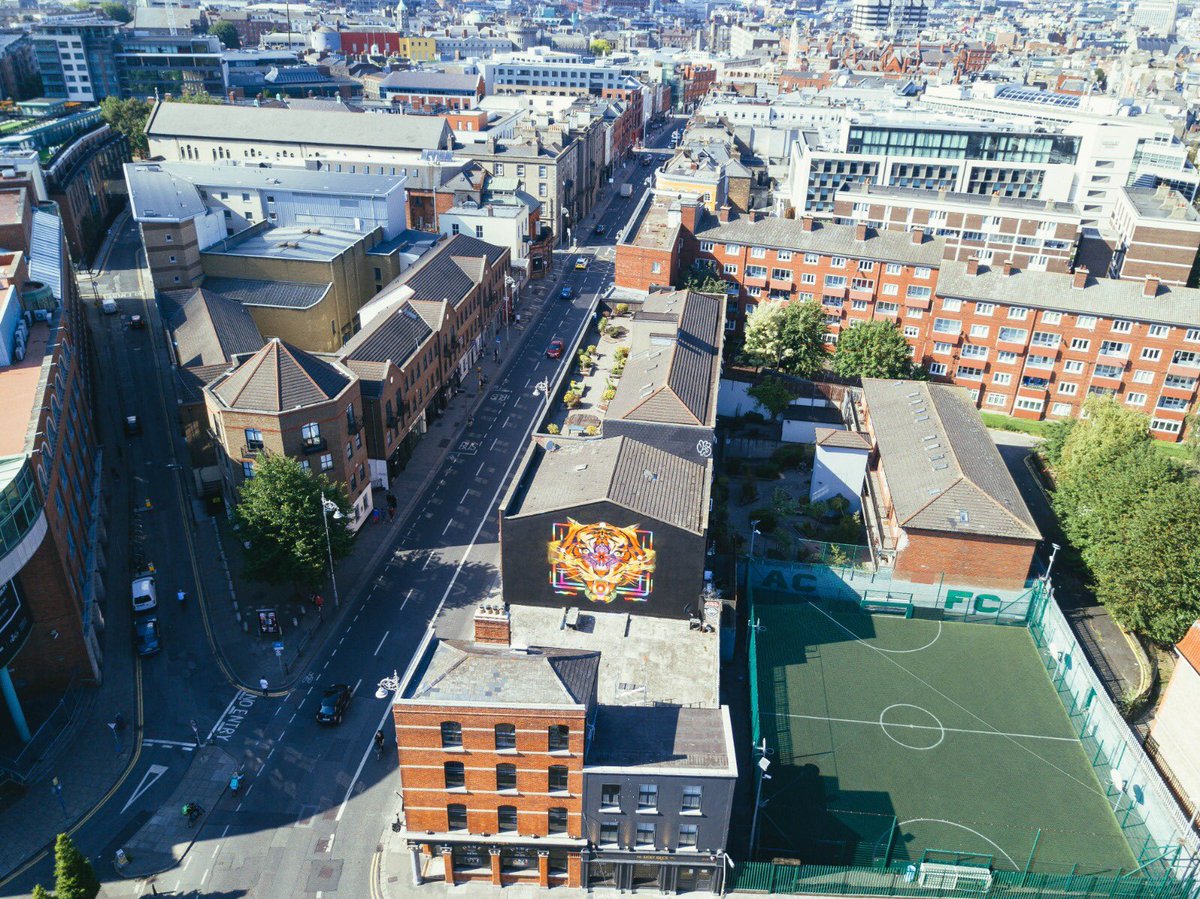 SubsetDublin's tweet image. Our city council want us to paint over this now too, Merry Christmas to all in the enforcement office :)