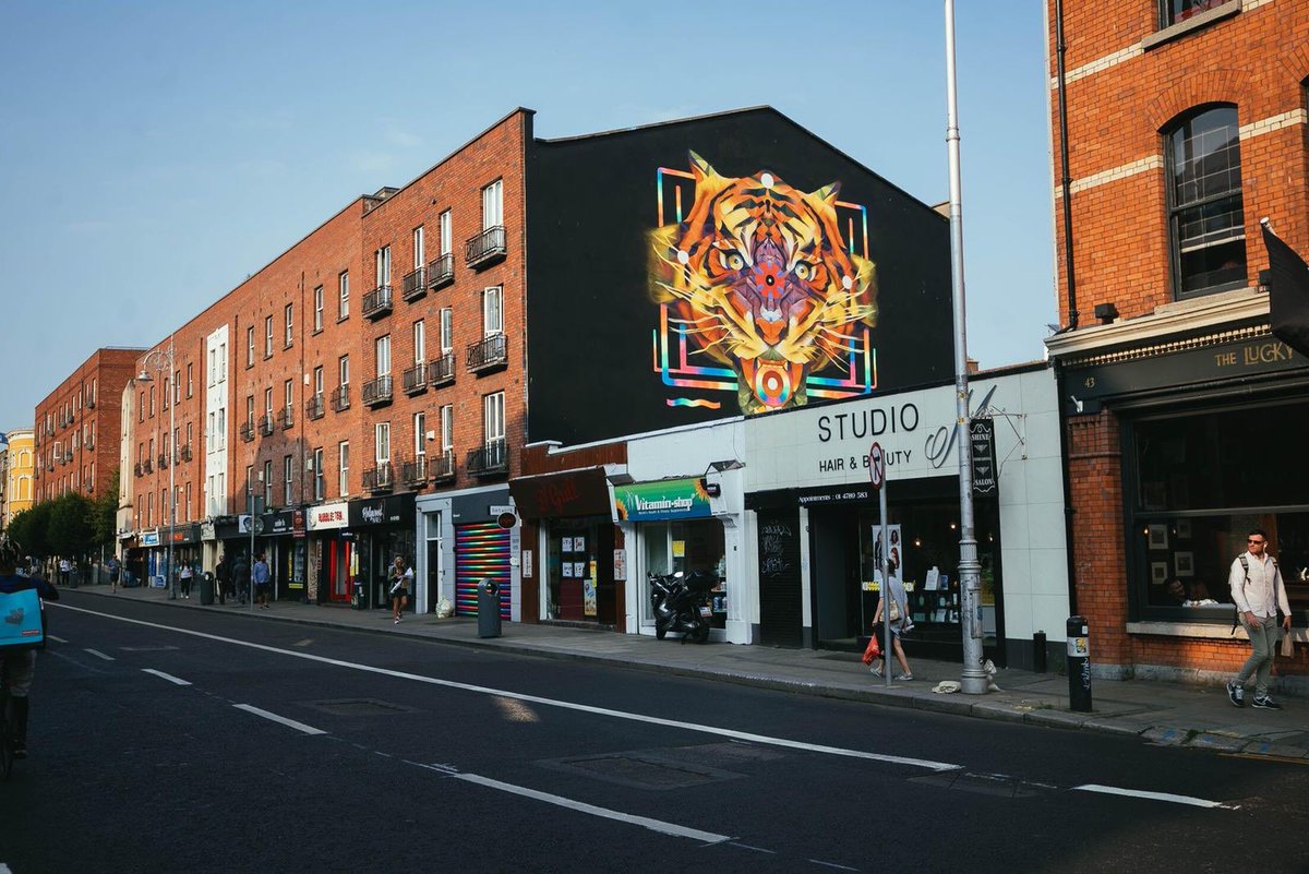 SubsetDublin's tweet image. Our city council want us to paint over this now too, Merry Christmas to all in the enforcement office :)