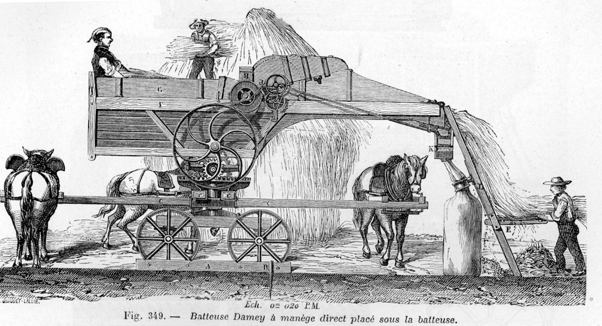 You may wonder what Threshers are. Threshing is the loosening of the edible part of grain from the straw, in this case, wheat. The roller-like stones were pulled over the wheat to thresh. Today it's done by combines & the stones are artifacts found in central Kansas.