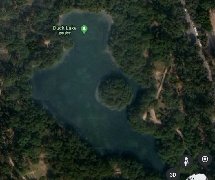 Duck Lake is an artificial lake developed by DDA in Paschim Vihar in West Delhi. Lately, it dried up and DDA tried to rejuvenate it by extracting groundwater and refilling it. Last year, it was cleaned by the authorities as the sewage water got filled in the lake. #WaterMark