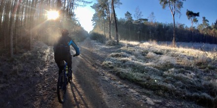 NTFU's tweet photo. De NTFU wenst je hele fijne (fiets)dagen en geniet van elke kilometer die je maakt! 🎁🌲 https://t.co/3JVMpEeHfc