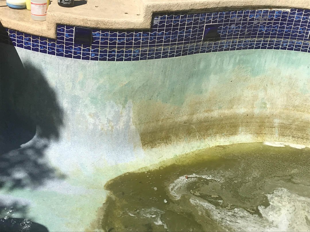 Jcostapool's tweet image. Stay up-to-date on our service offerings including: #WeeklyPoolMaintenance, #PoolCleaning and #PoolEquipmentRepair! We look forward to hearing from you! Give Us A Call at (954) 708-0480 today! #PoolEquipmentRepair #DeerfieldBeach #DeerfieldBeach33442