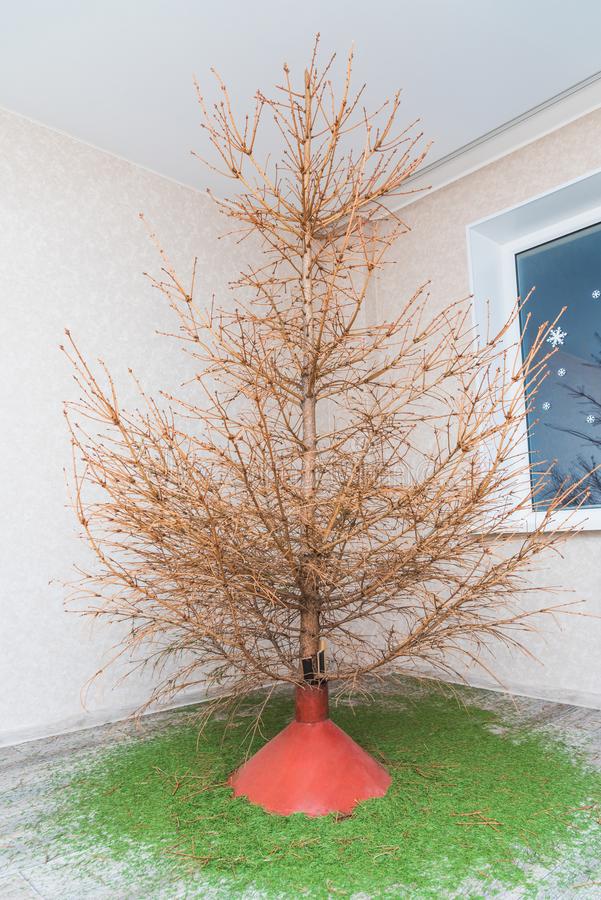 Ernst V All Tipp Zu Weihnachten Das Husten Und Niesen In Die Armbeuge Ist Nicht Nur Aus Pandemie Gesichtspunkten Empfehlenswert Nein Auch Der Weihnachtsbaum Freut Sich T Co Bf0unjhp9l