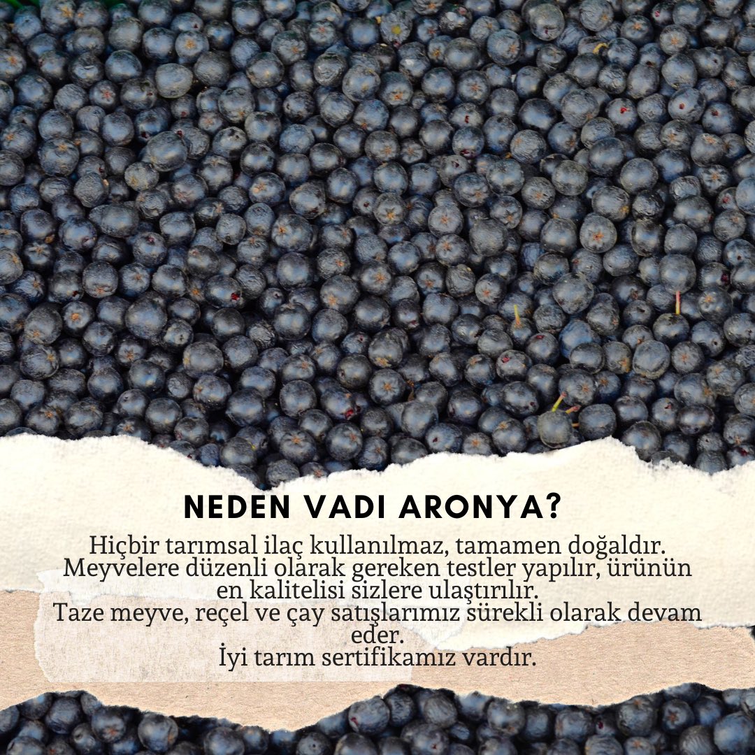 Neden Vadi Aronya?