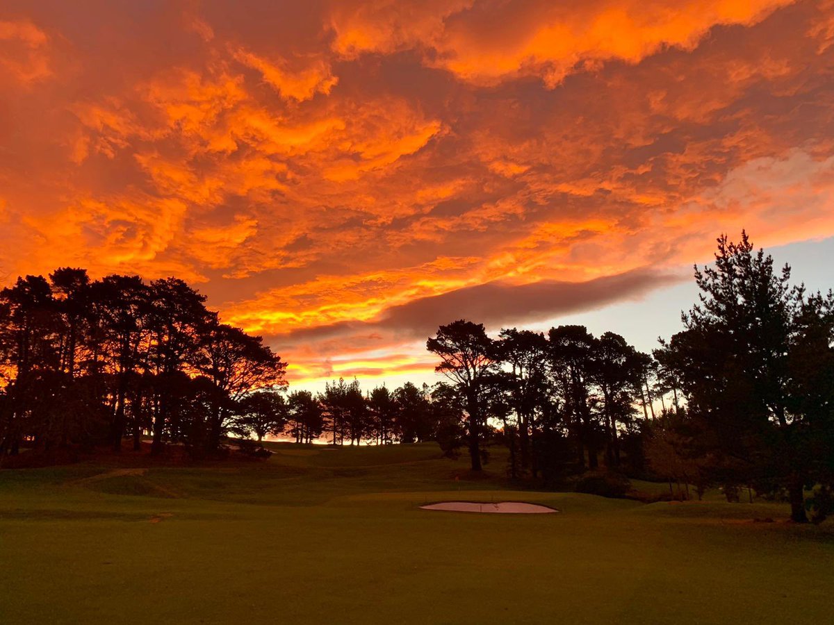 Javier Ballesteros tweet media