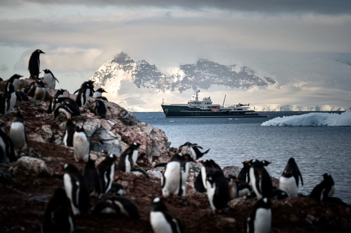 Watching the Chinstrap Penguins at play from close…
Every expedition brings a new adventure!

Photo by Shelton Dupreez for MY Legend

#ICONic #ICON #ICONyachts #Legendyacht #superyacht #explorer #luxury #yachtlife #cruising #explore #freedom #antarctica #expedition #adventure