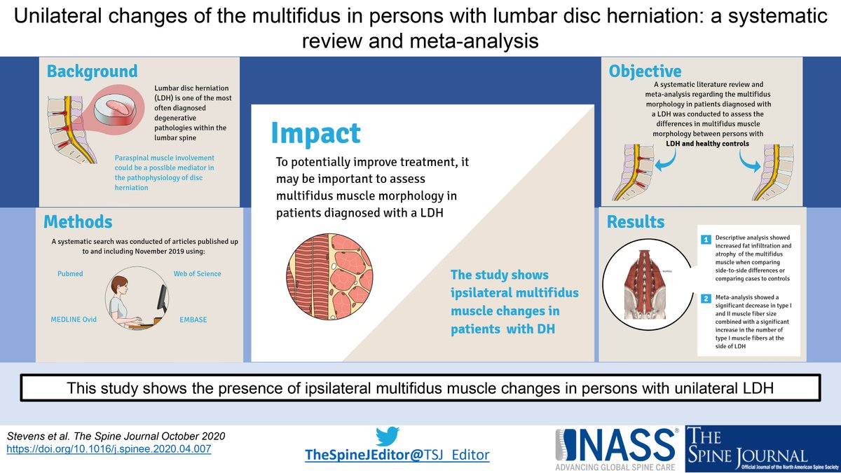 Cause or effect? Stevens et al find in meta-analysis that the multifidus can change on the side of a lumbar disc herniation—18 articles were systematically reviewed—10 in the meta-analysis (shocked there was so much literature about this!) thespinejournalonline.com/article/S1529-…