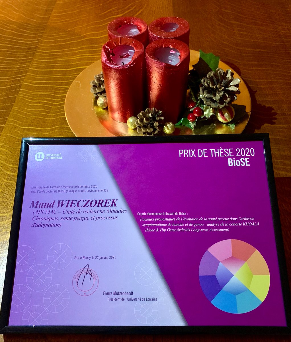 Honorée et fière de recevoir ce prix de thèse de <a href="/Univ_Lorraine/">Lorraine</a>. 
Un grand merci à tous ceux qui m’ont soutenue pendant cette aventure. Mention spéciale à mes deux directrices de thèse et à mes deux rapporteurs <a href="/jeremsellam/">sellam jeremie</a> et @Professeur_geek