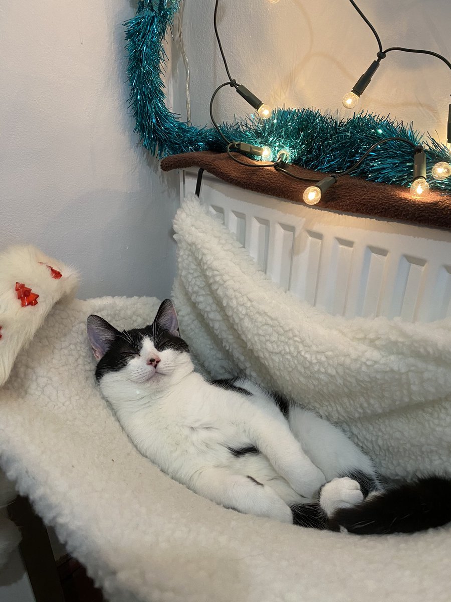 emmaclogs's tweet image. Signing off from work until January. May your Christmas break be festive and peaceful!