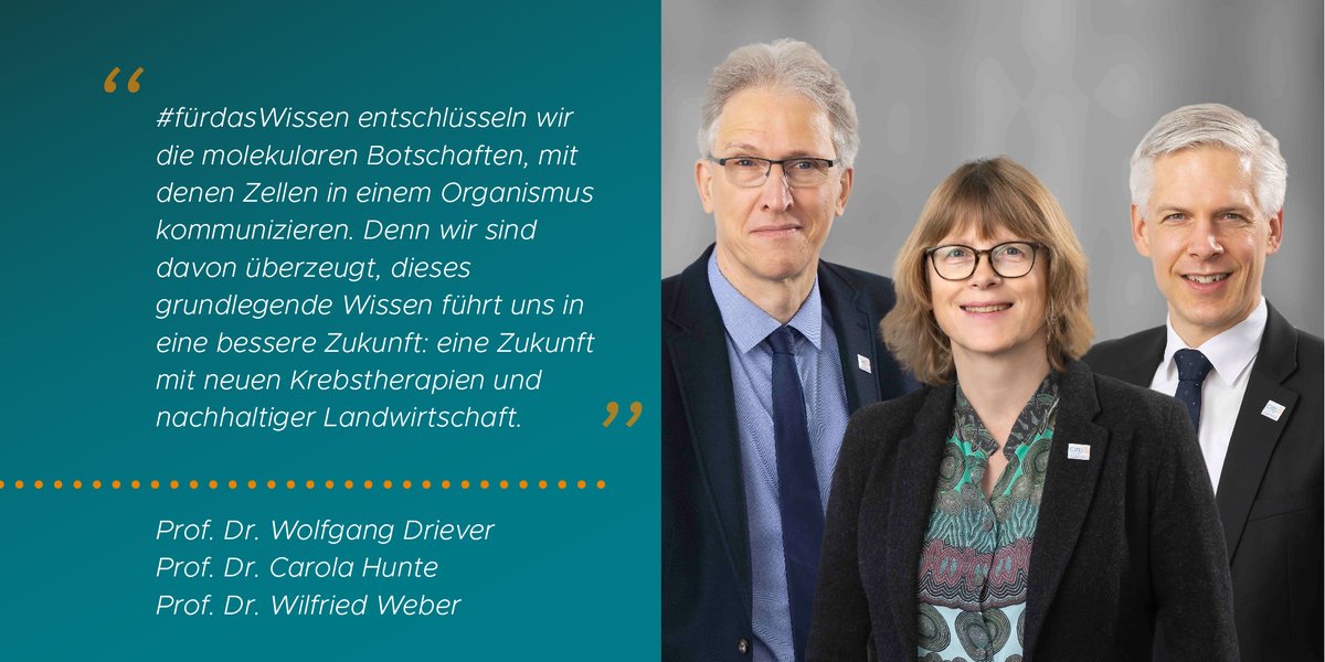 CIBSS_UniFR's tweet photo. #fortheknowledge, we decode the molecular messages that an organism's cells use to communicate. We are convinced that this fundamental knowledge will lead us to a better future: one with new cancer therapies and sustainable agriculture.
#fürdaswissen @dfg_public #researchmatters https://t.co/geMK2yWowk