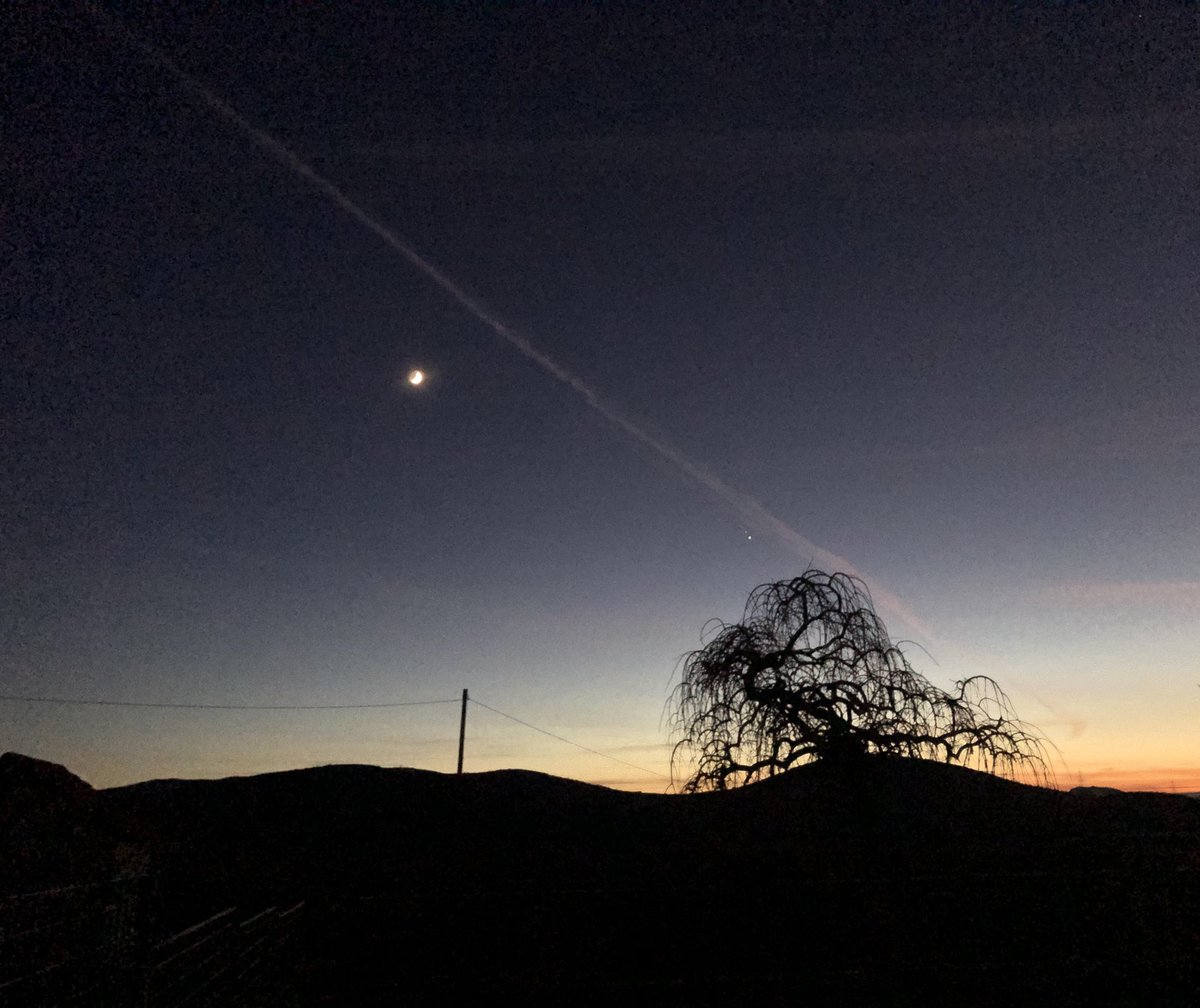 LightWander's tweet image. Pathways.

Sometimes, some scenes opening in front of me in this temote place are stories from fairytales...  being written... 

#amwriting in the
#hillsandmountains after #sunset eatching the #moon