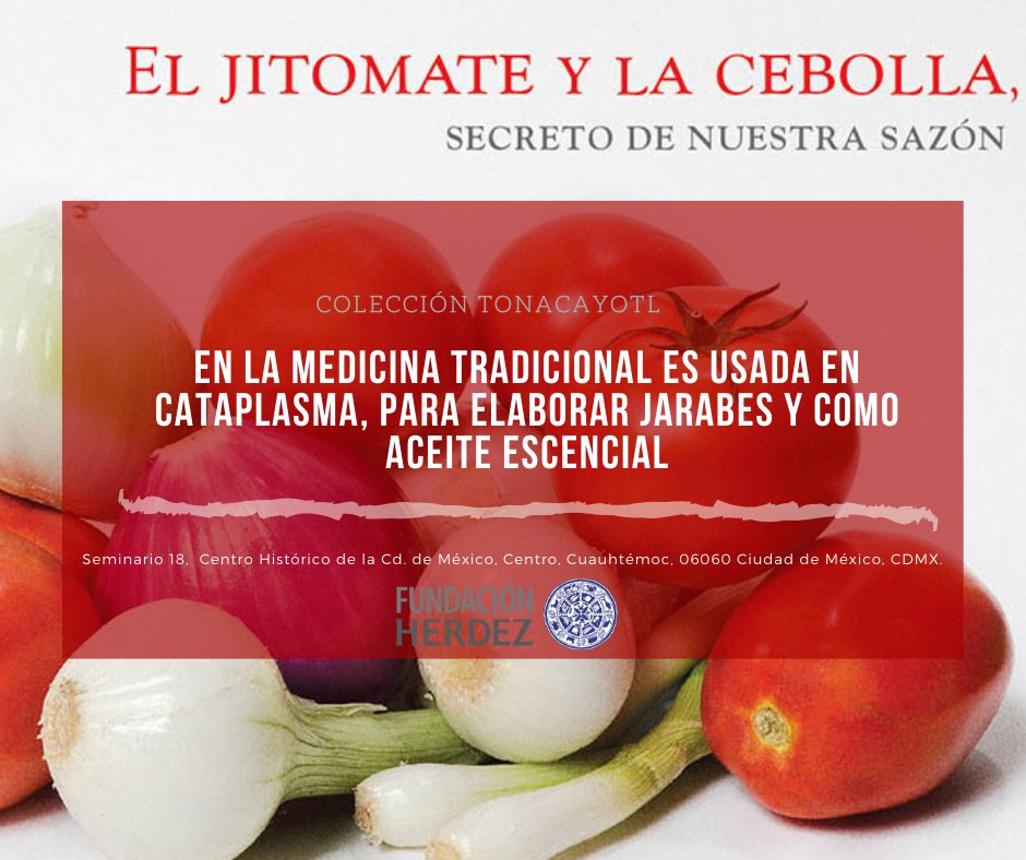 Centro Universitario IESTUR tweet media