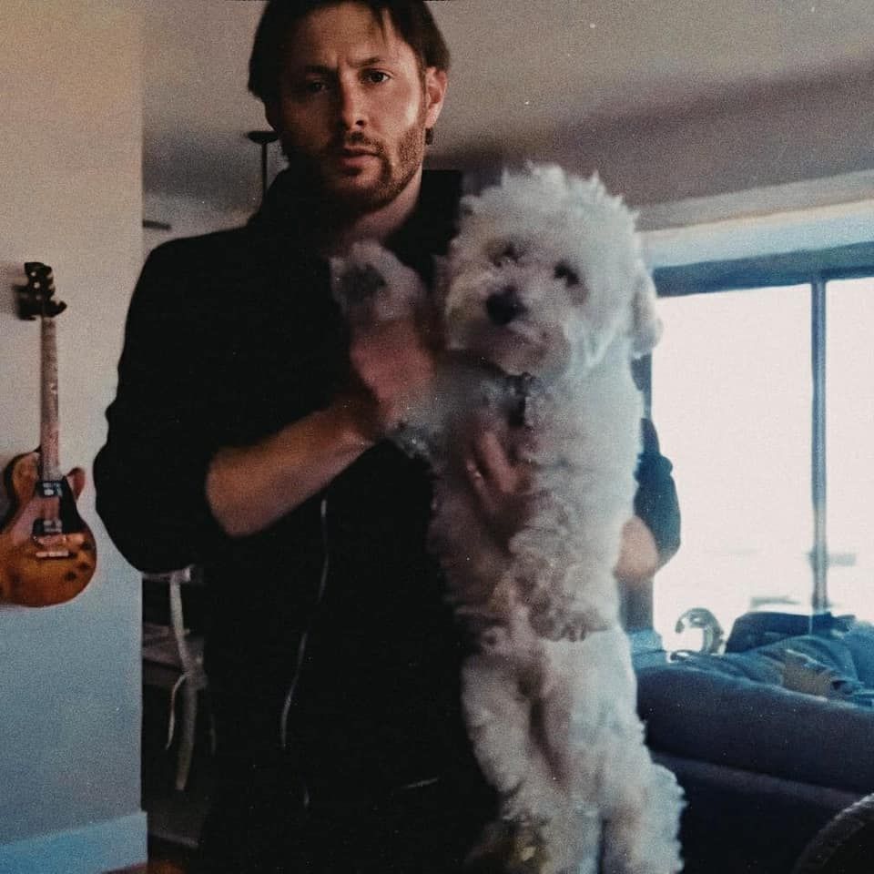 jensen ackles and animals, a soft thread