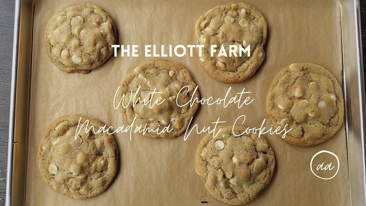New video on #YouTube!! Another #popular #cookie for the #holidays! 🎄 Link to video below 🍪😍

youtu.be/yksffEERdCM
.
.
#theelliottfarm #thatgirlsary #tgif #tgifridays #cookies #whitechocolate #whitechocolatechips #macadamia #macadamianuts #bake #baker #pastrychef #chef