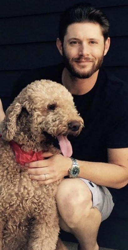 jensen ackles and animals, a soft thread