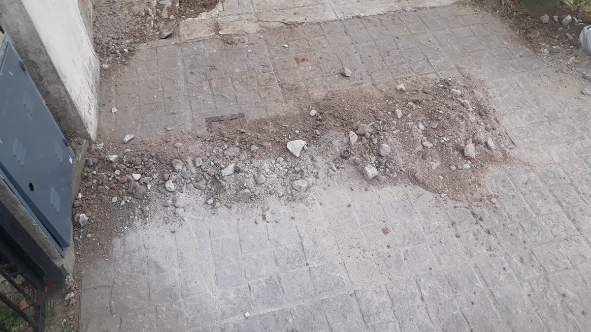 RooooCardoso's tweet photo. Viste cuando decís 2020 no me vas a seguir cagando... llegas a tu casa y ves que @NaturgyAr te rompió la vereda... https://t.co/GSIUTHipZT