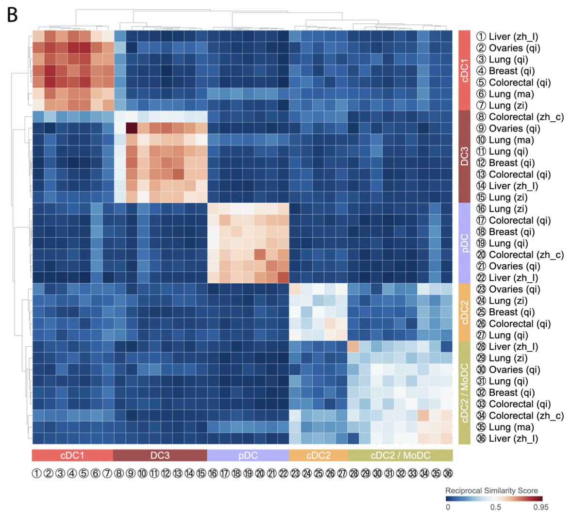 Happy to share our latest work on tumor-infiltrating dendritic cells (DC)!  https://doi.org/10.1084/jem.20200264 We know these cells can play key antitumor functions, but they require more attention and could become important targets for cancer  #immunotherapy.  @MGHCSB  @MGH_RI  @harvardmed 1/n