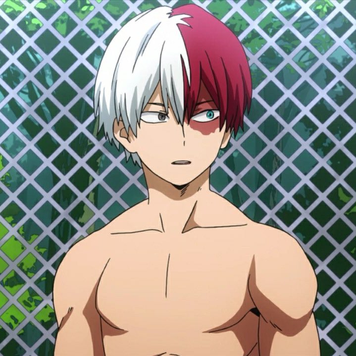 you lose a point if... you started watching bnha for todoroki.