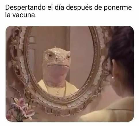 Spider CHolo (@elspidercholo) on Twitter photo 