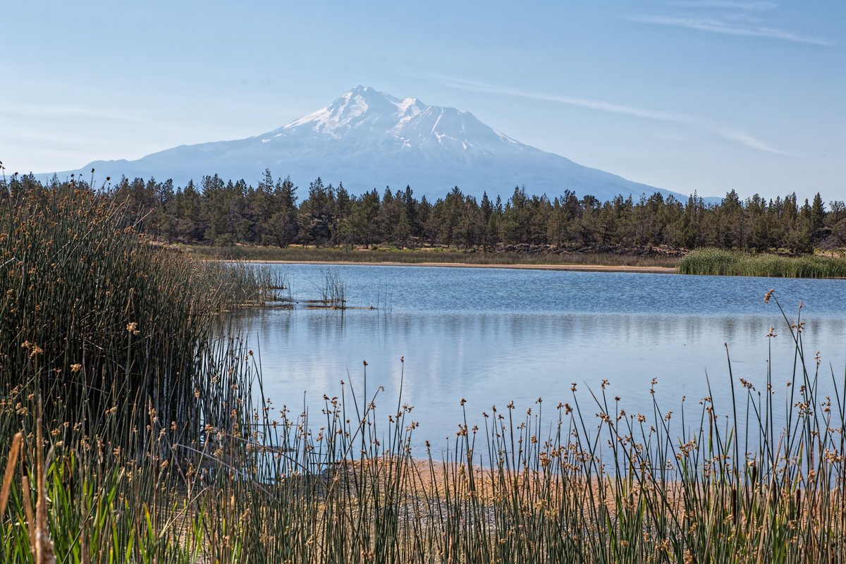 ranchmarketing's tweet photo. Lava Lakes Ranch - #MontagueCA - The 5,329-acre Lava Lakes Nature Preserve is a hidden paradise. The property's seven beautiful lakes are home to numerous species of waterfowl, deer, bass and upland birds. https://t.co/m55y3clr2z https://t.co/63FBawZMcP