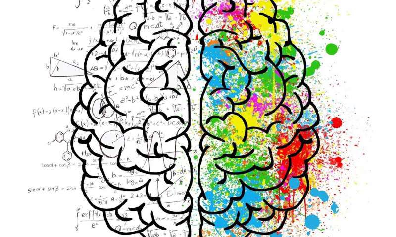 DrPragyaAgarwal's tweet photo. We need to stop such representations of human brain. There is no male side, no female side. It is not halved into a logical mathematical side & a creative side. It is of course not dreary grey on one side & rainbow-coloured on other. An ep of #outsidetheboxes #podcast on this: https://t.co/HNlGoGEIvo