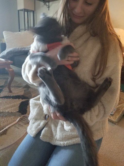 2 pic. It's official, @420bbyk 's pussy is insane!! https://t.co/kazMIEe0qg