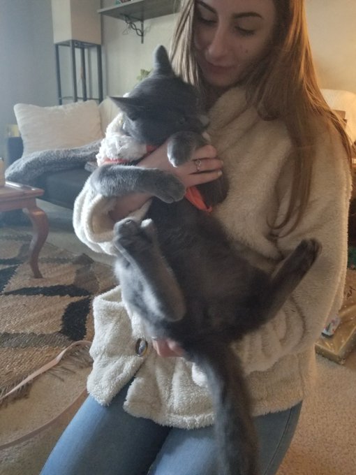 3 pic. It's official, @420bbyk 's pussy is insane!! https://t.co/kazMIEe0qg