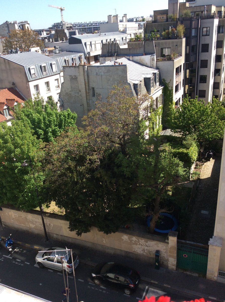 Paris14Ensemble's tweet photo. Des beaux discours aux élections d'une majorité municipale qui se dit écologique mais les actes ne suivent pas.
A l'angle des rues Hallé et Dumoncel, véritable saccage de l' "Espace Vert Protégé" au sens du Plan Local d'Urbanisme.
(Photos du 22 avril 2020 puis du 16 décembre) https://t.co/hJIQQysEQ6