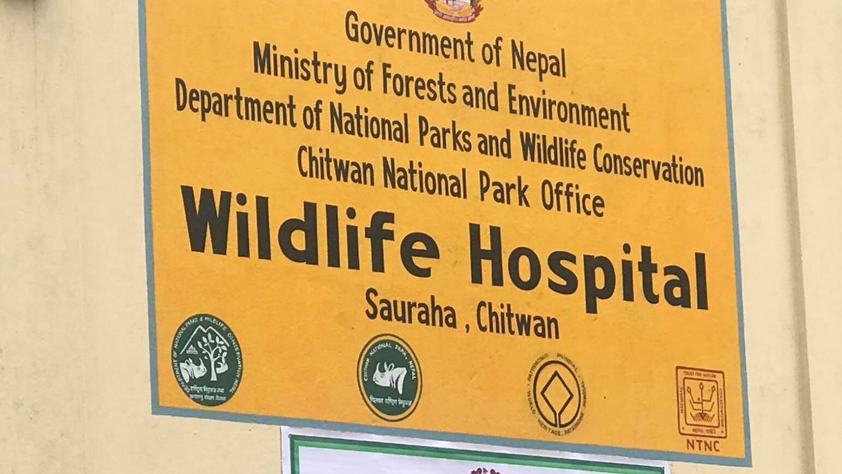 WildlifeVetsInt's tweet photo. We are delighted to report that Nepal’s first and only wildlife hospital has now officially opened!
Congratulations to all involved, and especially to wildlife vet Dr Amir Sadaula and his team at the @NTNCBCC
#NTNCBCC #ControllingDisease #SavingSpecies https://t.co/DXSxkMQvpP