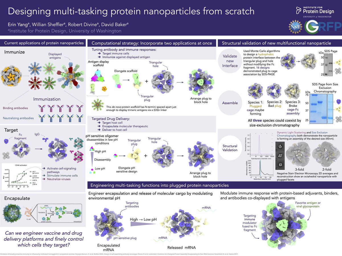 Erin Yang (@erincyang) on Twitter photo I’m humbled to receive a poster award at #IBDRC2020 from <a href="/BioDesignR/">BioDesign Research</a> for my work on designing multifunctional, self assembling 3-component protein nanoparticles! Thanks to the hosts for leading such diverse sessions over the last 18 days
Check it out👇🏼 I’m humbled to receive a poster award at #IBDRC2020 from <a href="/BioDesignR/">BioDesign Research</a> for my work on designing multifunctional, self assembling 3-component protein nanoparticles! Thanks to the hosts for leading such diverse sessions over the last 18 days
Check it out👇🏼